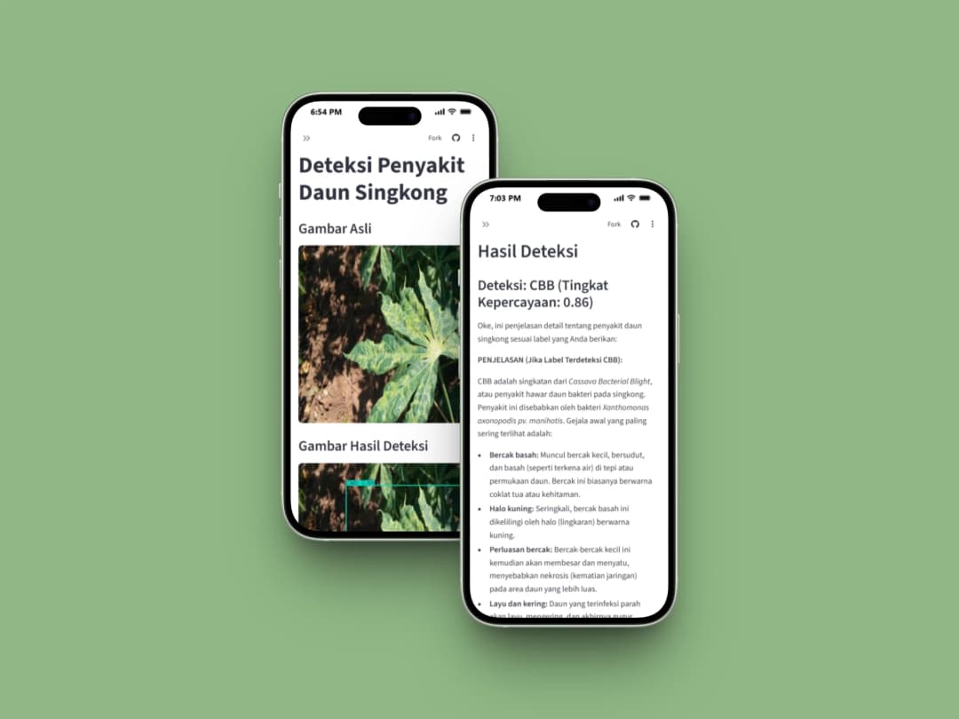 Cassava Leaves Disease Detection